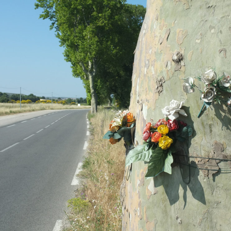 Entre Lançon et Pélissanne. © Laurent Carte